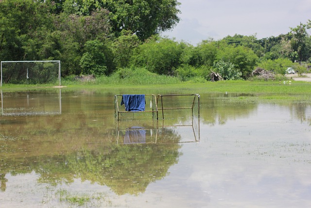 与案例分析 与案例分析