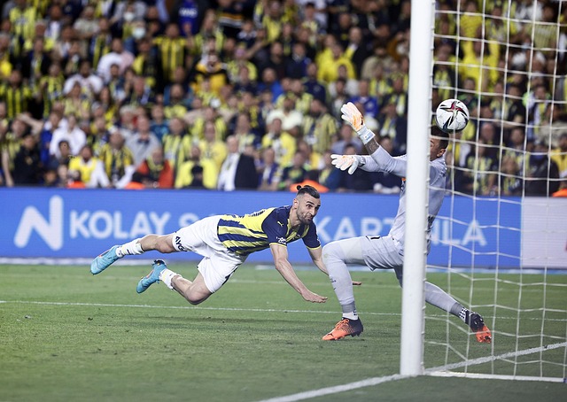 替换外援布 替换外援布