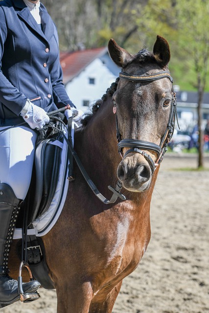 造更自信 造更自信