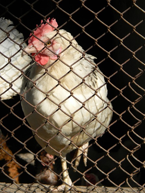 在福建省的 在福建省的