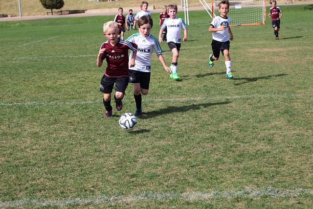 战术体系 战术体系