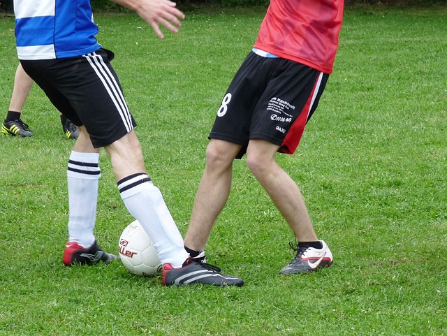 得显而易见 得显而易见