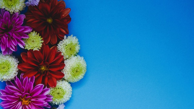 不只是湖人！曝独行侠曾找鹿狼谈判东契奇交易 雄鹿拒绝送出字母.