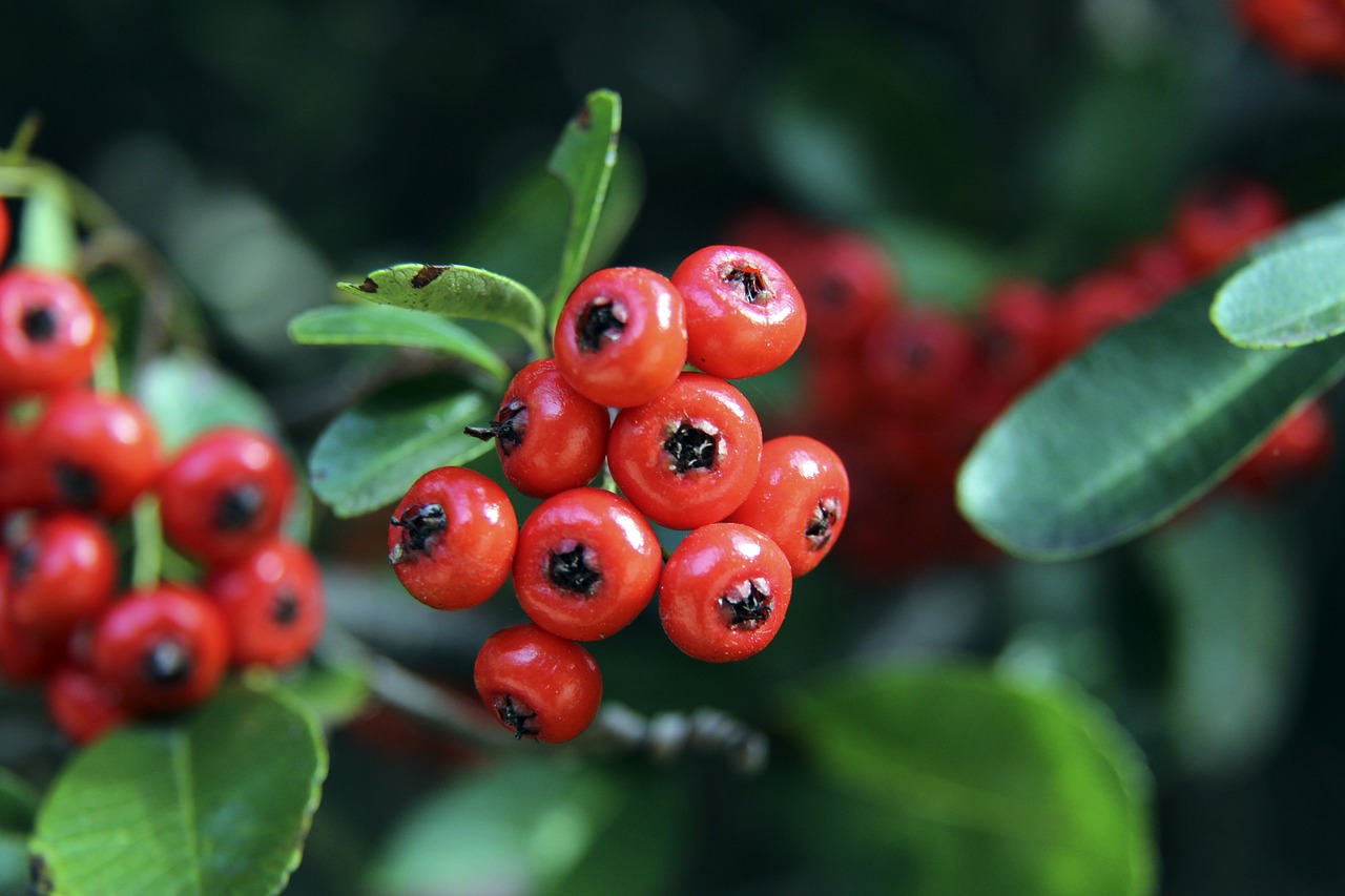 从全民健身 从全民健身