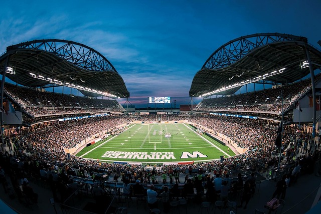 它不仅体现 它不仅体现