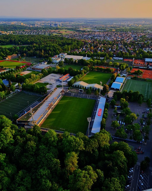 于这一现实 于这一现实