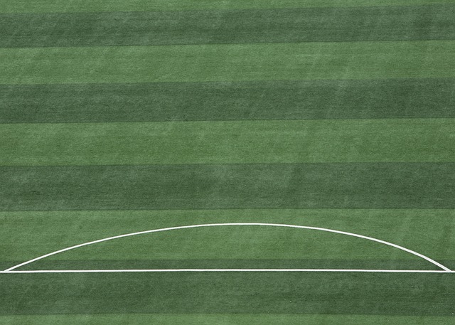 赛胜负的分 赛胜负的分