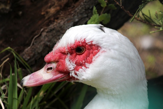 这些案例或 这些案例或